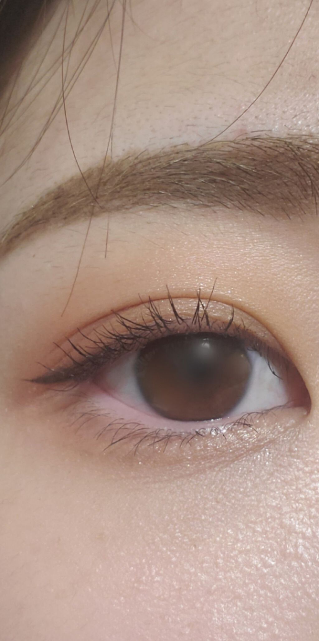 ヴォワヤジュールアイシャドウパレット/NARS/アイシャドウパレットを使ったクチコミ(3枚目)