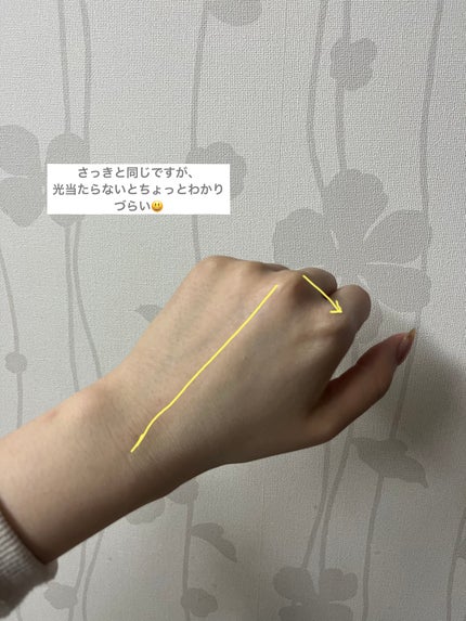 ジューシーパン スキンケアプライマー/A’pieu/化粧下地を使ったクチコミ(5枚目)