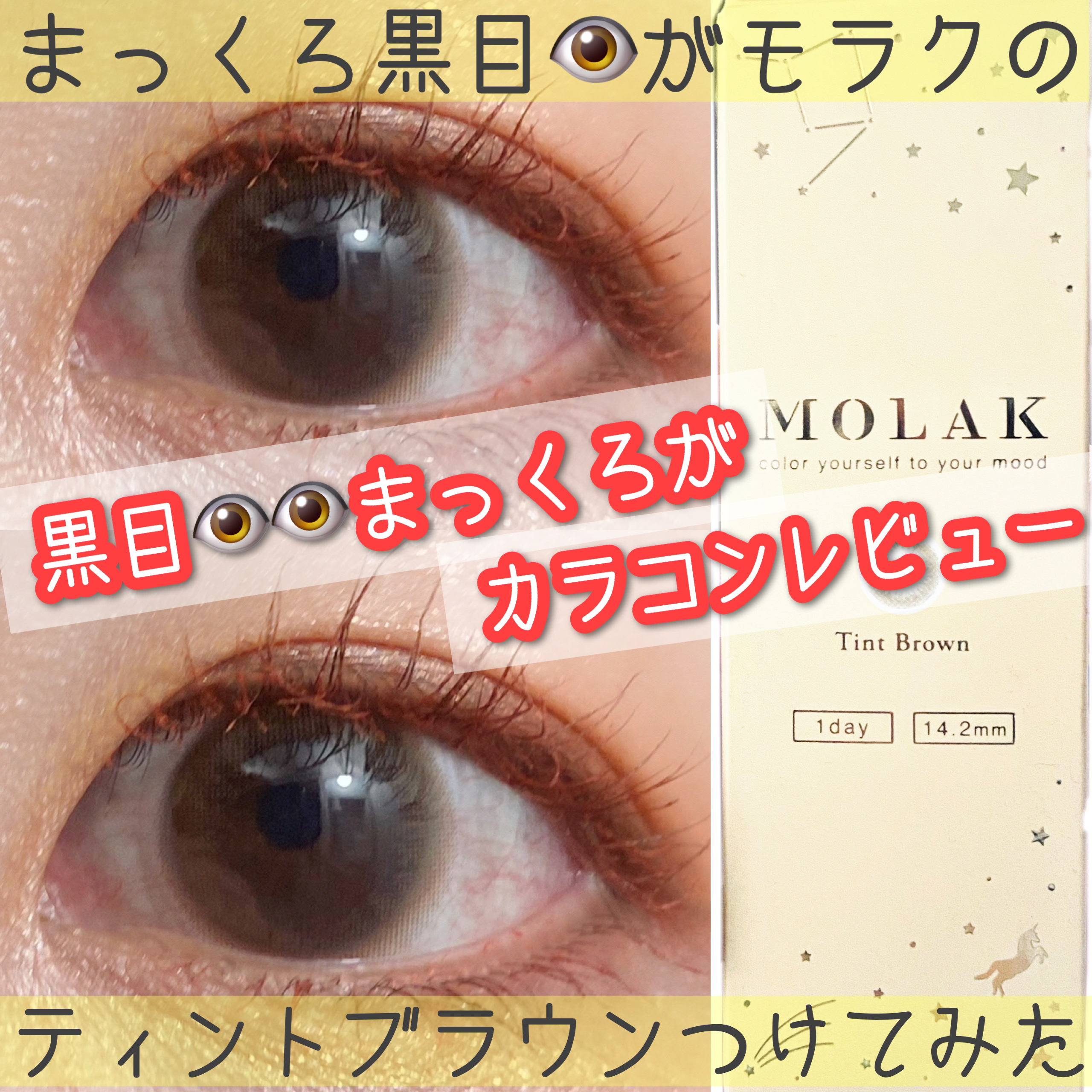 MOLAK 1day ティントブラウン/MOLAK/ワンデー（１DAY）カラコンを使ったクチコミ（1枚目）