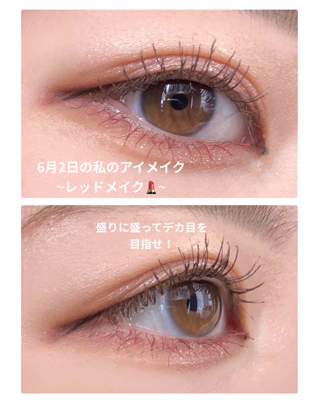 novo アイシャドウパレット/NOVO/アイシャドウパレットを使ったクチコミ(1枚目)