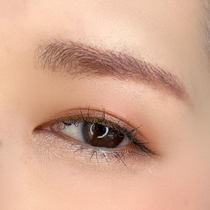 ノーズ&アイブロウパウダー/CEZANNE/パウダーアイブロウを使ったクチコミ(4枚目)