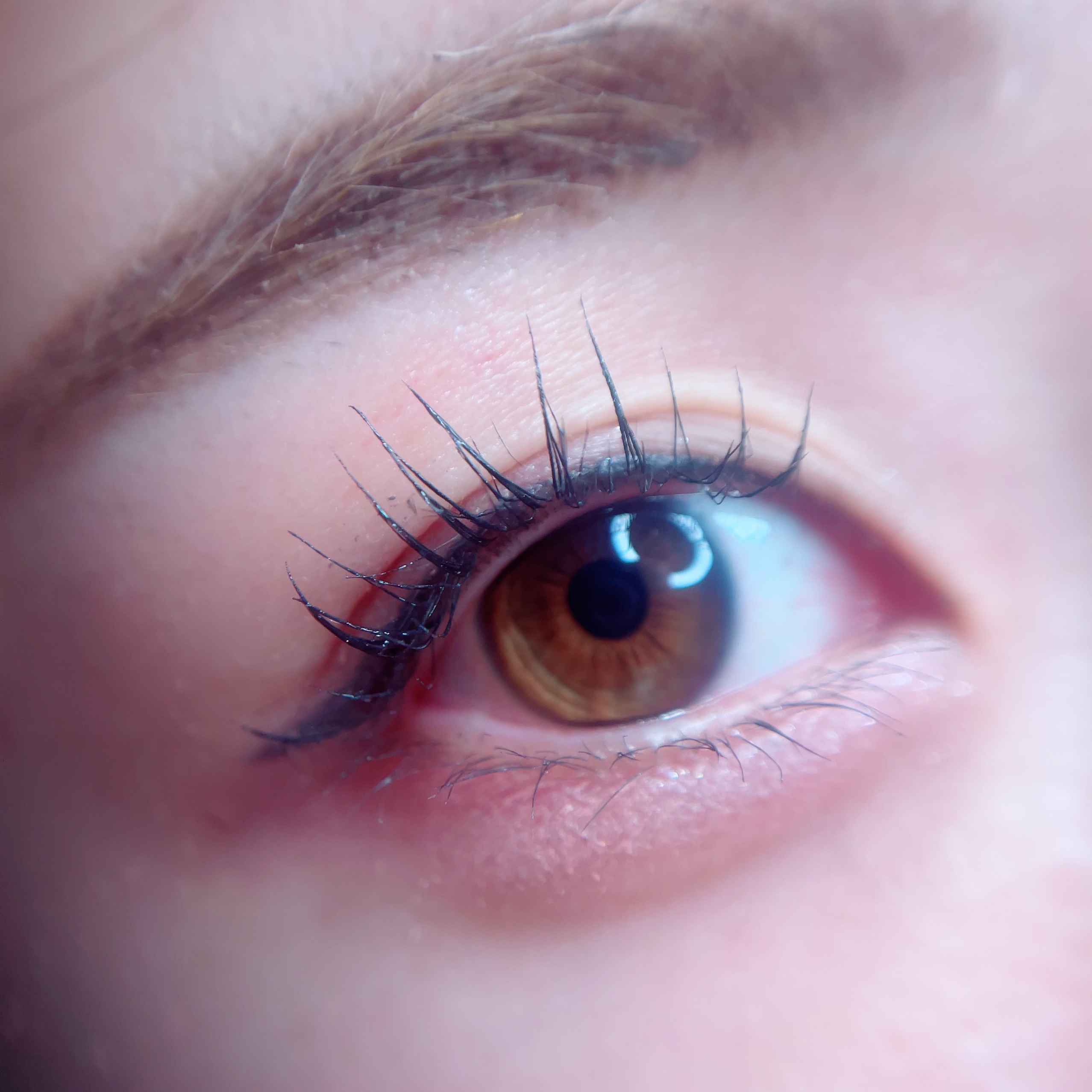 キスミー フェルム ナチュラルグラマー マスカラ/キスミー フェルム/マスカラを使ったクチコミ（2枚目）