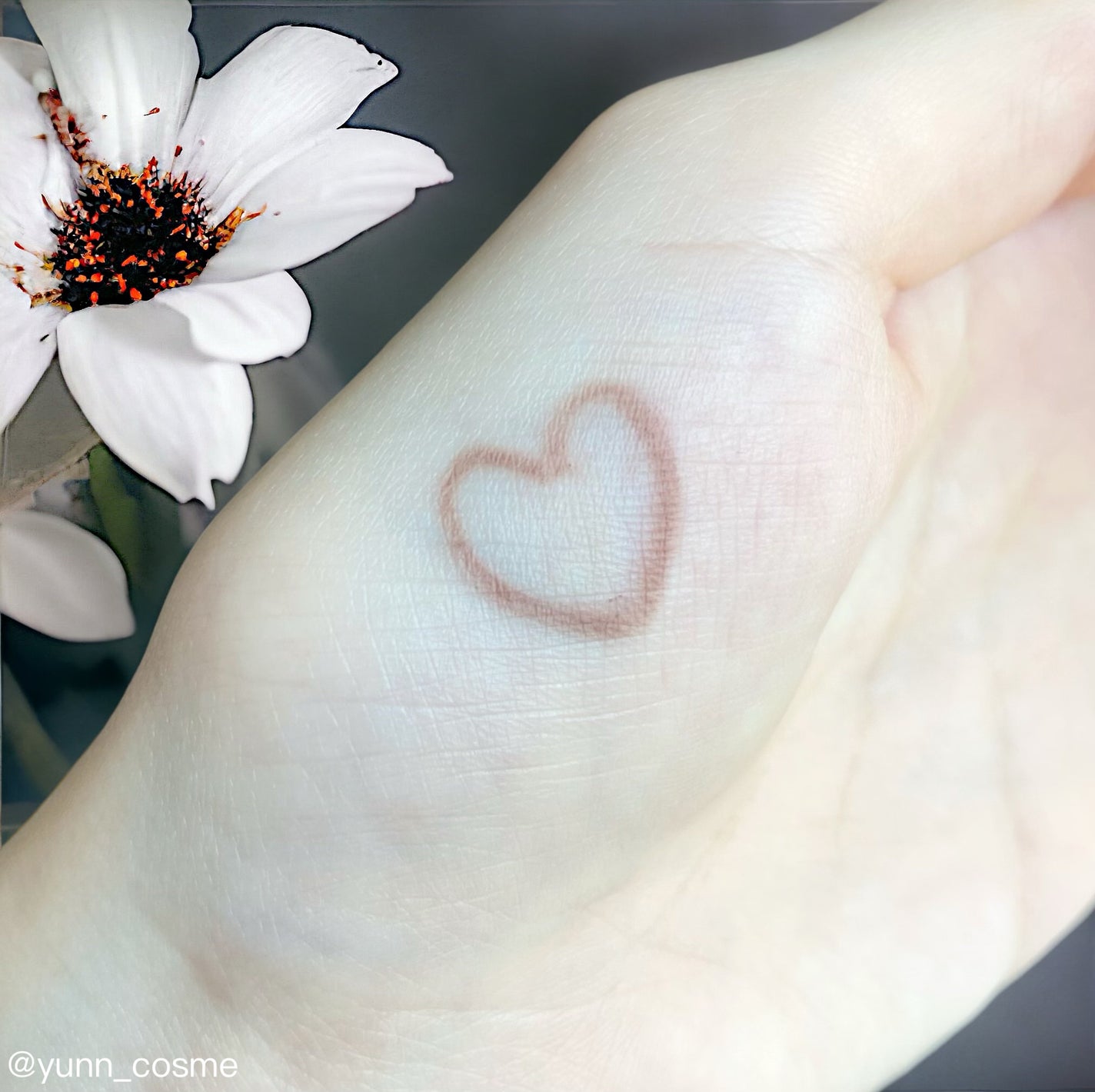 カラーエディットパウダーブロウ/excel/パウダーアイブロウを使ったクチコミ(5枚目)