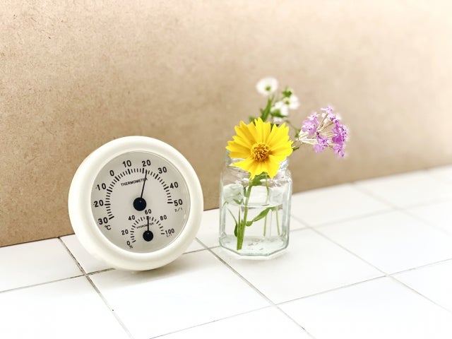 温度計と花瓶に入った花