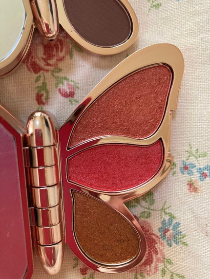 バタフライアイシャドウパレット/AGAG/アイシャドウパレットを使ったクチコミ(8枚目)