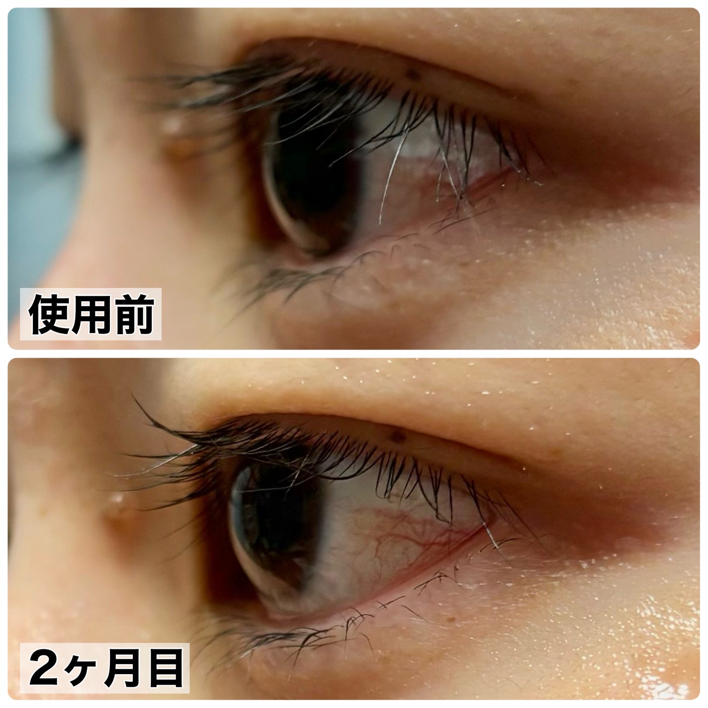 ロングアクティブアイラッシュセラム/COSNORI/まつげ美容液を使ったクチコミ(2枚目)