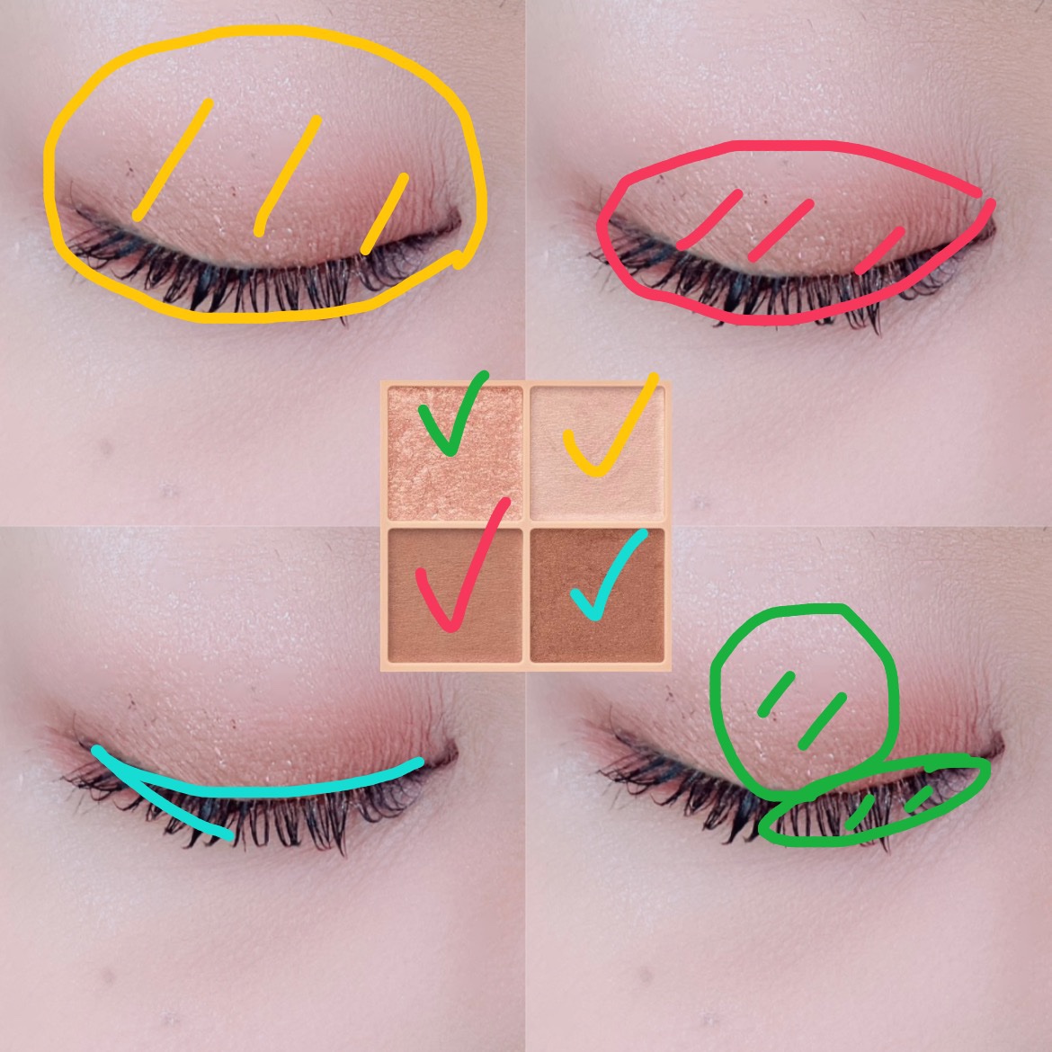 ベージュトーンアイシャドウ/CEZANNE/アイシャドウパレットを使ったクチコミ（2枚目）