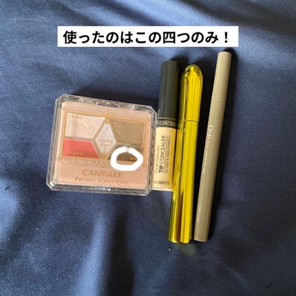 【旧品】パーフェクトスタイリストアイズ/キャンメイク/アイシャドウパレットを使ったクチコミ(4枚目)