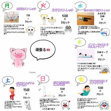 ブー子🐽/ながらダイエットの旅に出る on LIPS 「皆さんこんばんは〜(*＾▽＾*)西の国から来ましたブタのブー子..」（1枚目）