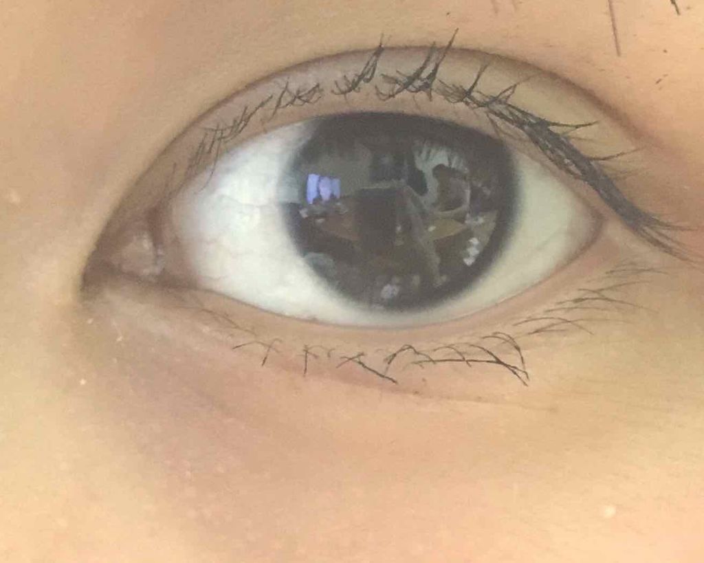 ミネラルマスカラ ロング/EYEMANIA/マスカラを使ったクチコミ（2枚目）