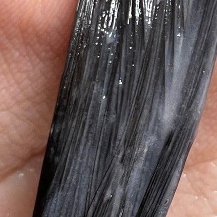 シャンプー/コンディショナー 根元からふんわり/セグレタ/市販シャンプーを使ったクチコミ(6枚目)