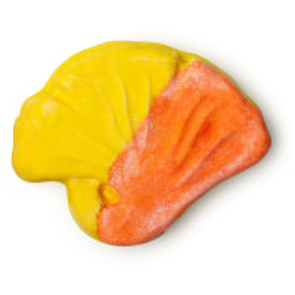 ラッシュ オータムカラー