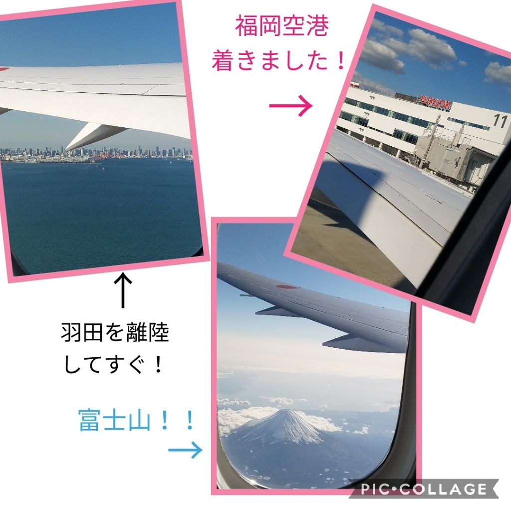 ポーチ/DAISO/その他を使ったクチコミ（2枚目）