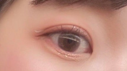 ビュームワンデー/ビューム/ワンデー(1DAY)カラコンを使ったクチコミ(1枚目)