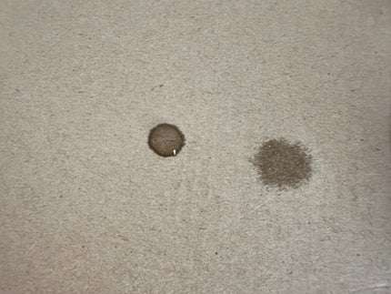 薬用 雪肌精/雪肌精/化粧水を使ったクチコミ(3枚目)