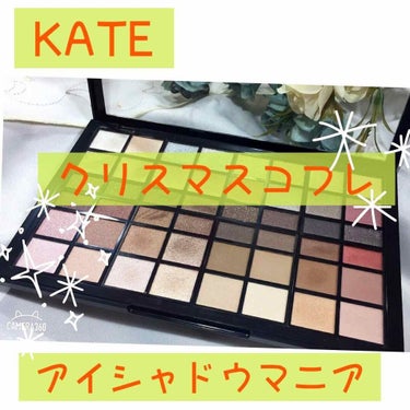 アイシャドウマニア 01/KATE/パウダーアイシャドウを使ったクチコミ（1枚目）