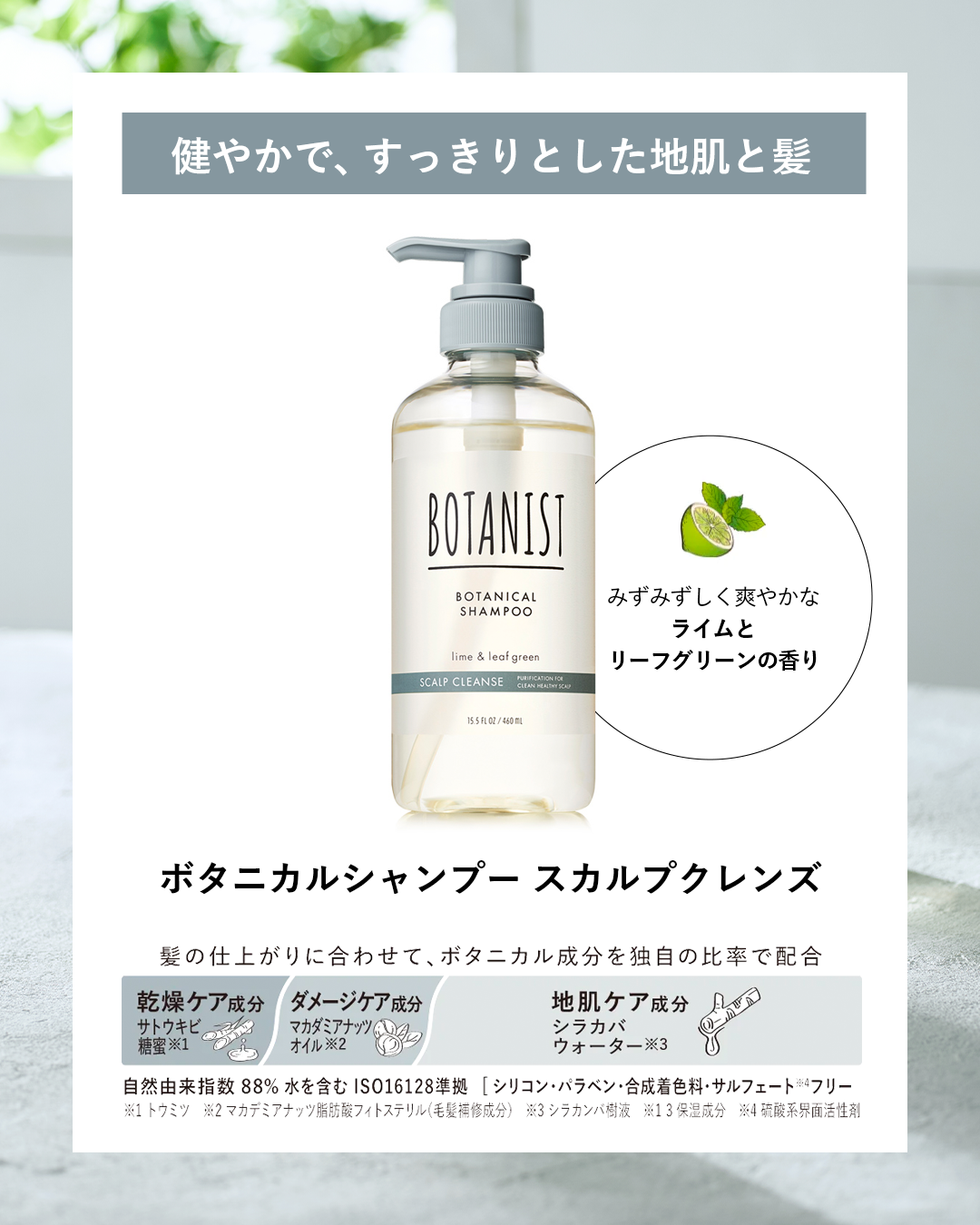 BOTANIST(ボタニスト)公式アカウント on LIPS 「【なりたい髪のタイプはどれですか?】5種の新しいボタニスト🌿フ..」(5枚目)