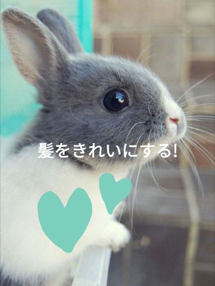 ハトムギ化粧水(ナチュリエ スキンコンディショナー R )/ナチュリエ/化粧水を使ったクチコミ(4枚目)