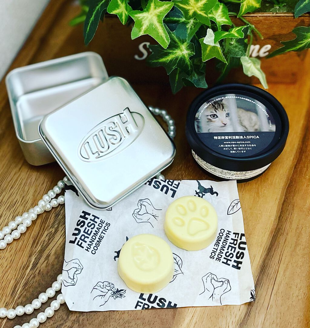 チャリティポット/ラッシュ/ボディローションを使ったクチコミ（1枚目）