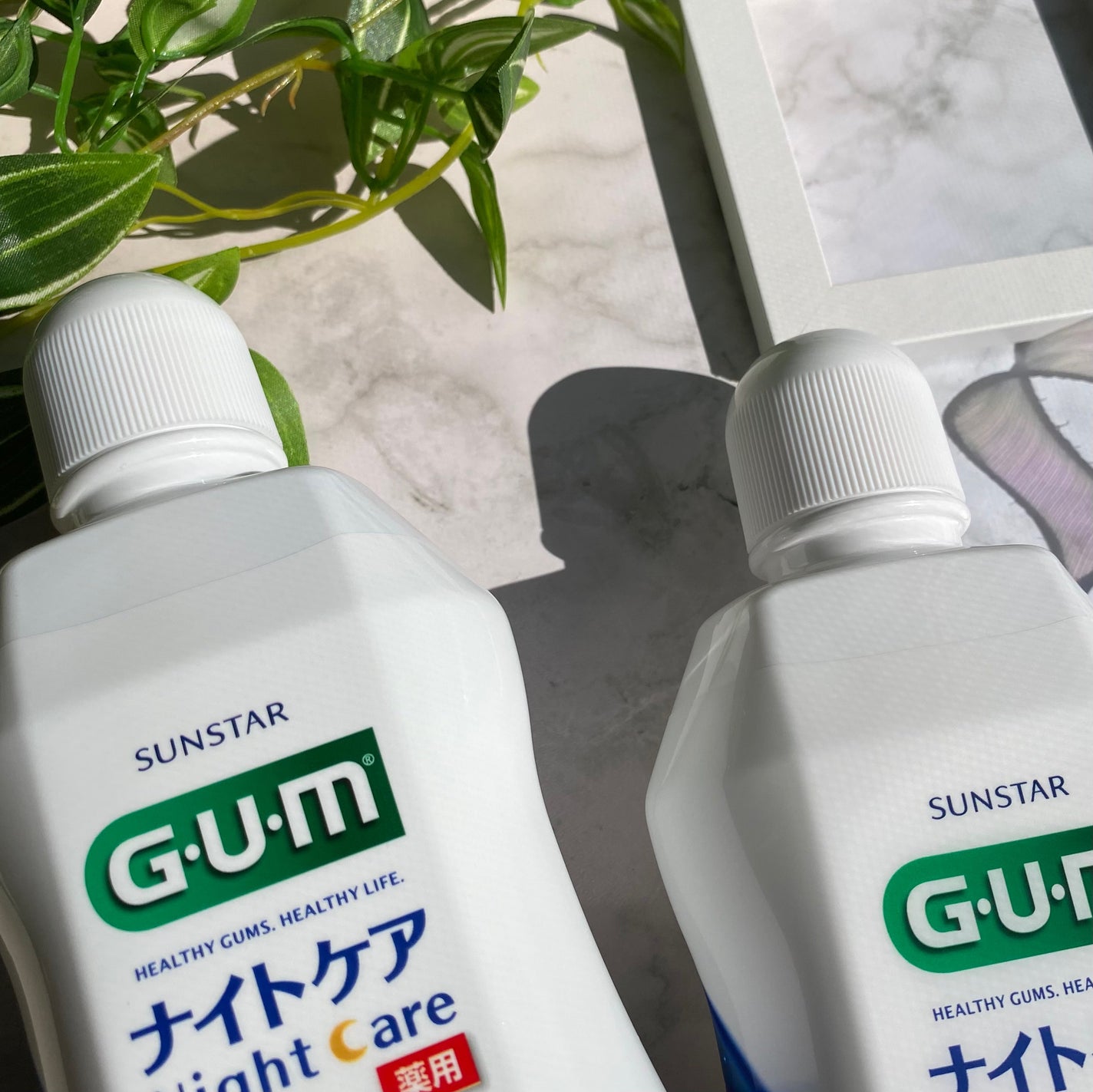 デンタルリンス ナイトケア/GUM/マウスウォッシュ・スプレーを使ったクチコミ(5枚目)