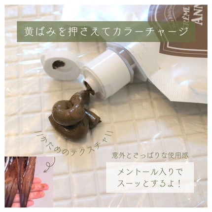 クレムドアン ブラウンクリームシャンプー/creme de Ann/市販シャンプーを使ったクチコミ(2枚目)