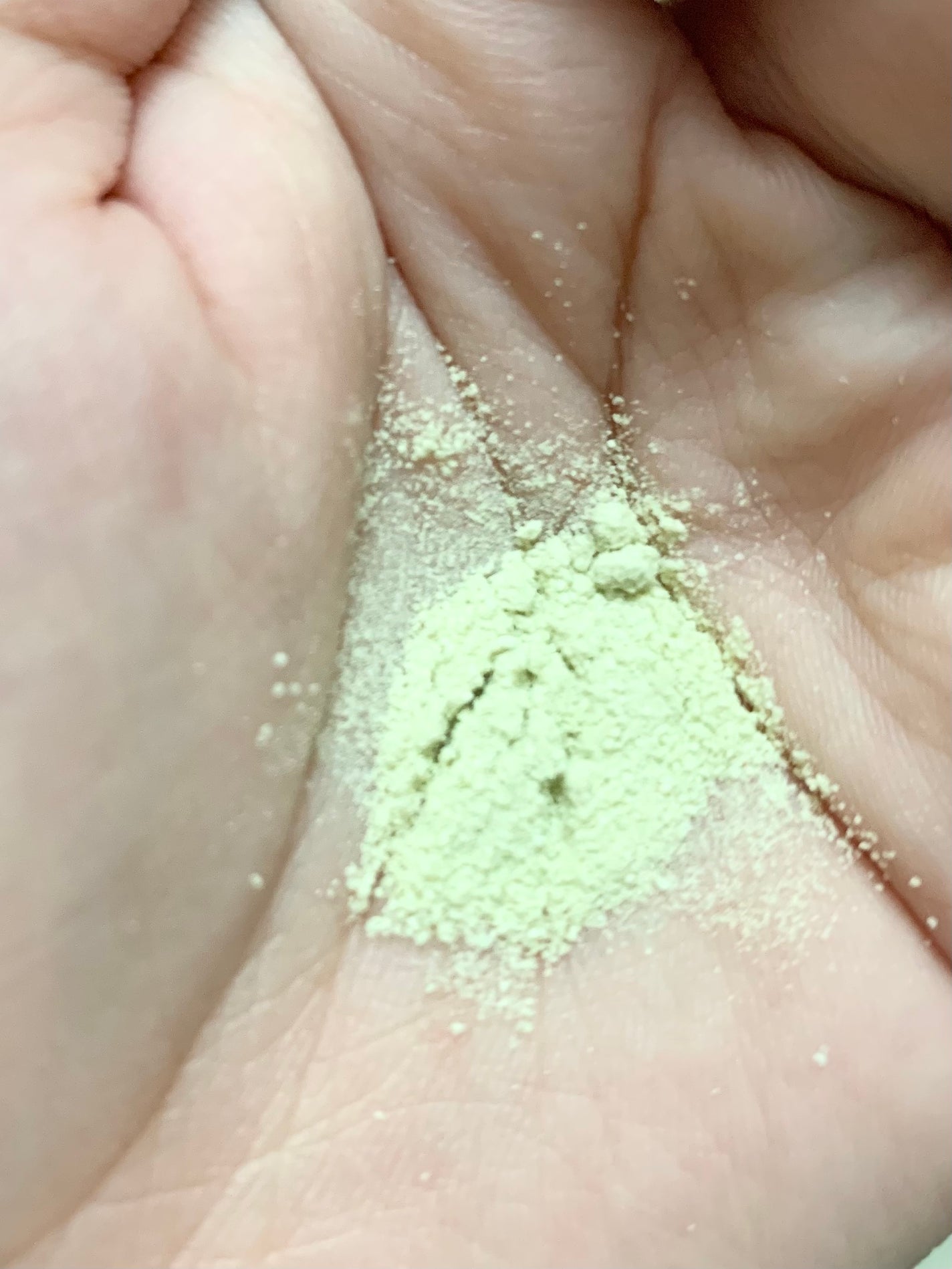 グリーンティー&エンザイムパウダーウォッシュ/By Wishtrend/洗顔パウダーを使ったクチコミ(2枚目)