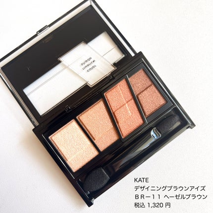 デザイニングブラウンアイズ/KATE/アイシャドウパレットを使ったクチコミ(6枚目)