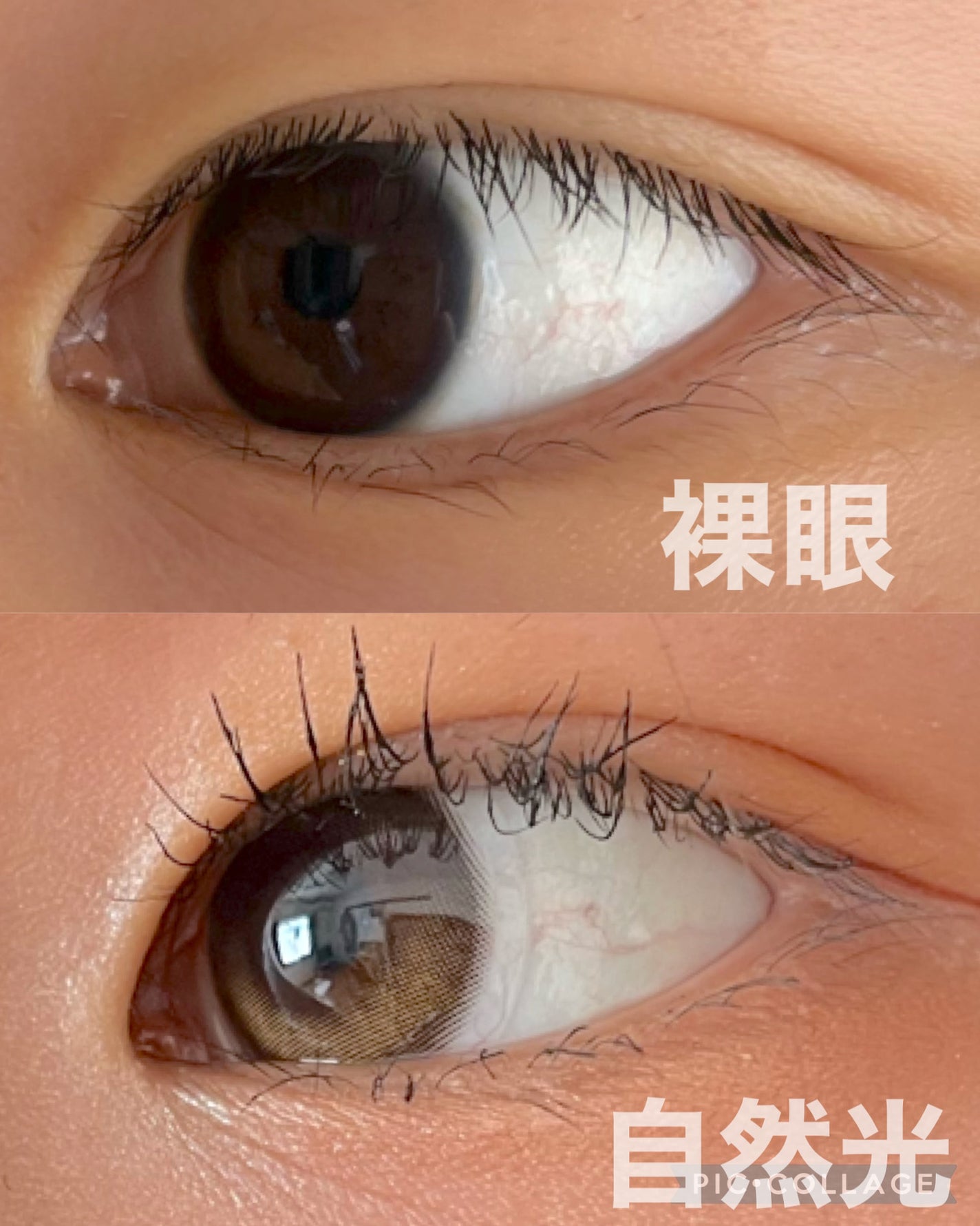 Glowy 1day/OLENS/ワンデー(1DAY)カラコンを使ったクチコミ(3枚目)