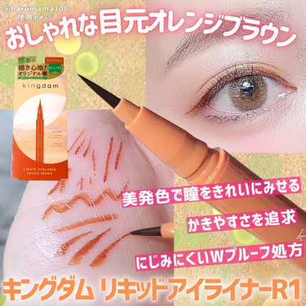 キングダム リキッドアイライナーR1 オレンジブラウン/キングダム/リキッドアイライナーの画像