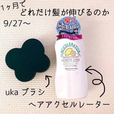 uka scalp brush kenzan/uka/頭皮ケアを使ったクチコミ（1枚目）