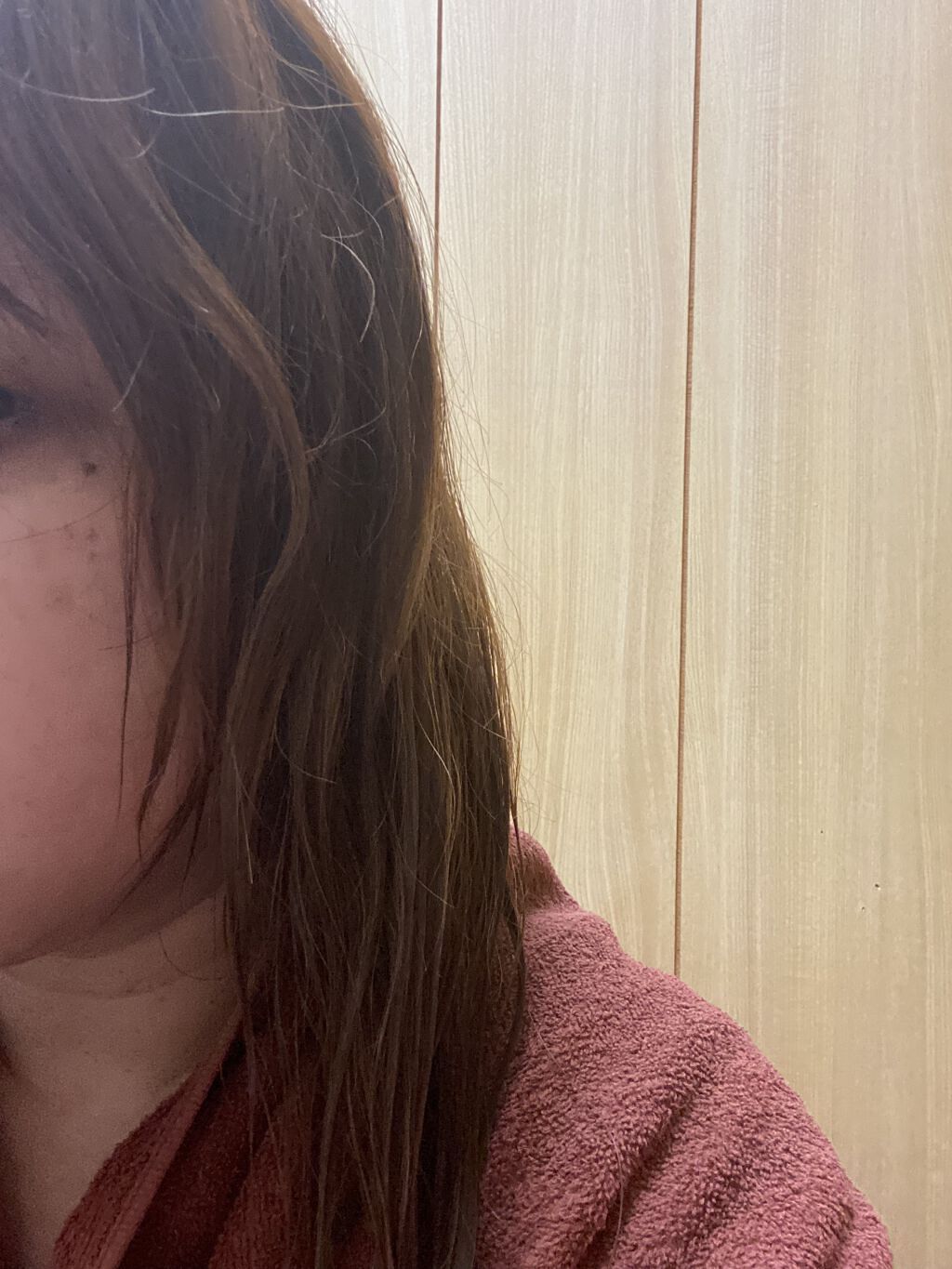 プレミアムスリーク ハイドロリニュー ミスト リッチモイスト(しっとりタイプ)/スティーブンノル ニューヨーク/ヘアミストを使ったクチコミ（2枚目）