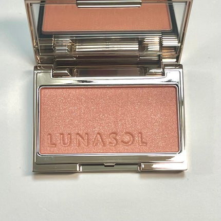 ラスティング リップカラーN/CEZANNE/口紅を使ったクチコミ(2枚目)