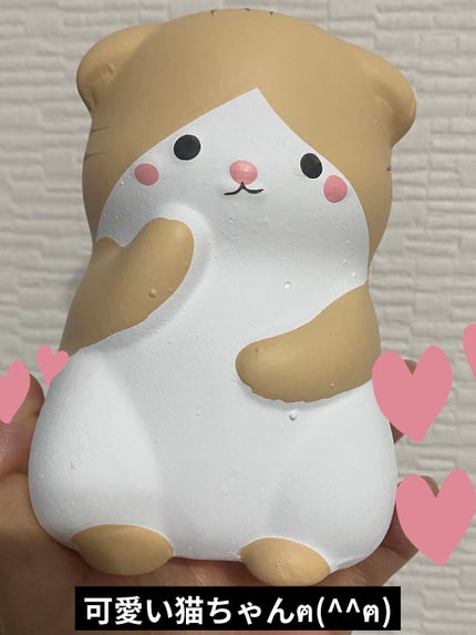 加湿ポット/DAISO/その他を使ったクチコミ(2枚目)