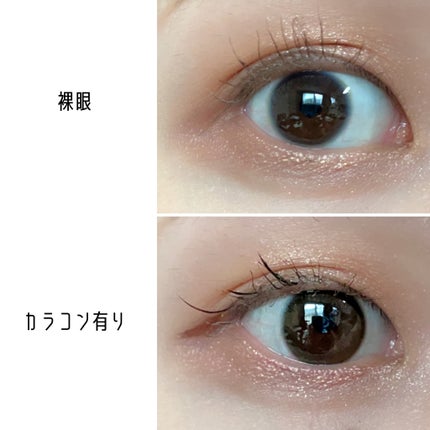 エバーカラーワンデーミリモア/エバーカラー/ワンデー(1DAY)カラコンを使ったクチコミ(4枚目)