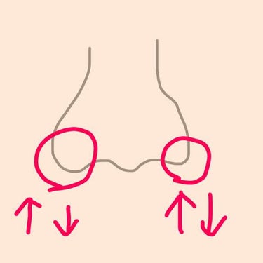 豚鼻＆団子鼻を解消しませんか？

冬休みという事で、可愛くなりたいわろりです
今日は感動した動画があったので紹介します

4枚目の写真のものなんですが、本当にすごい！やってみると鼻がスースーして、鼻通り