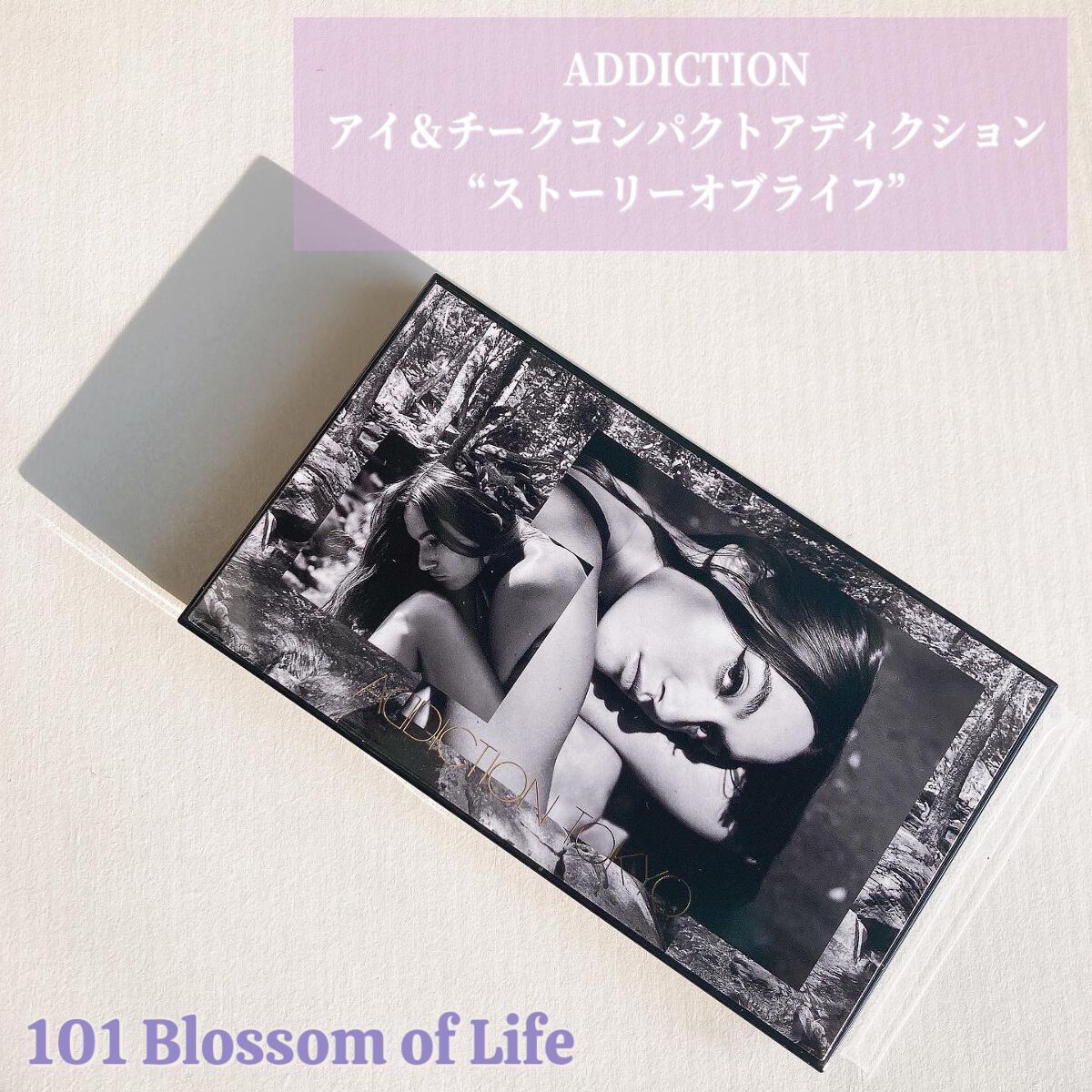 アイ & チーク コンパクトアディクション “ストーリー オブ ライフ”/ADDICTION/アイシャドウパレットを使ったクチコミ(1枚目)