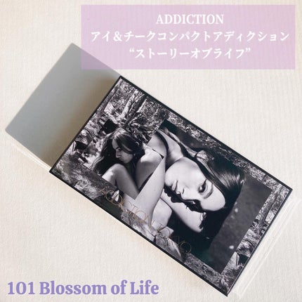 アイ & チーク コンパクトアディクション “ストーリー オブ ライフ”/ADDICTION/アイシャドウパレットを使ったクチコミ(1枚目)