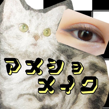 カラーインパクト リキッドライナー/Visée/リキッドアイライナーを使ったクチコミ(1枚目)