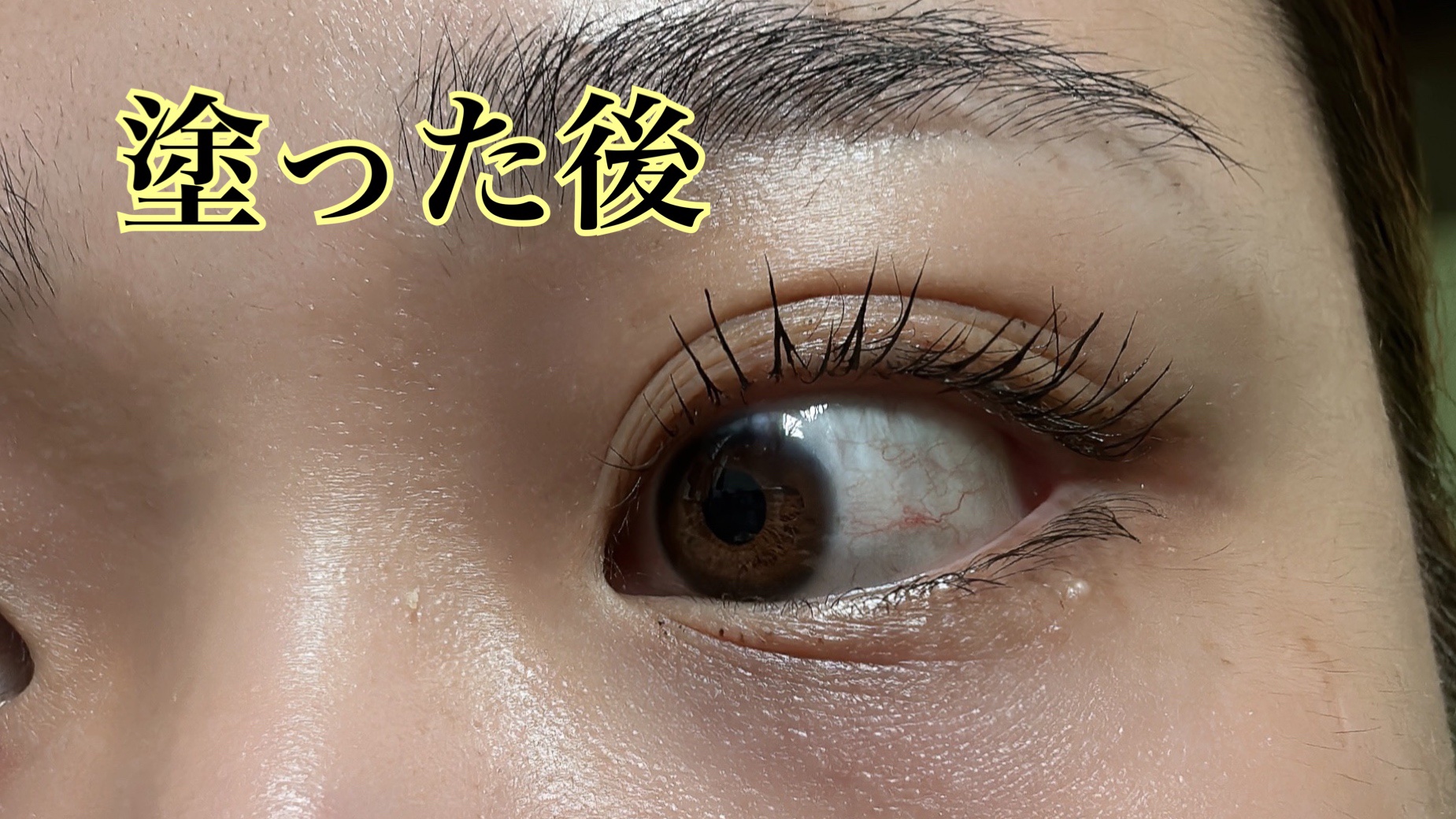 パーフェクトエクステンション マスカラ/D-UP/マスカラを使ったクチコミ（3枚目）