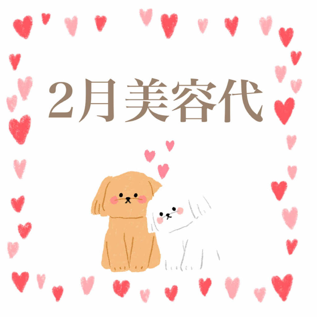 チェリーブロッサム ジェリークリーム N/innisfree/フェイスクリームを使ったクチコミ（1枚目）