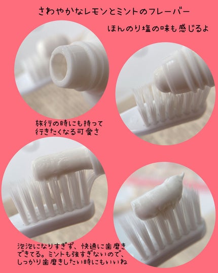 ROSE CITRON/SALTRAIN/歯磨き粉を使ったクチコミ(4枚目)