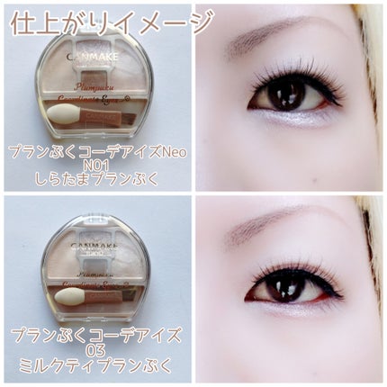 プランぷくコーデアイズ/キャンメイク/パウダーアイシャドウを使ったクチコミ(6枚目)