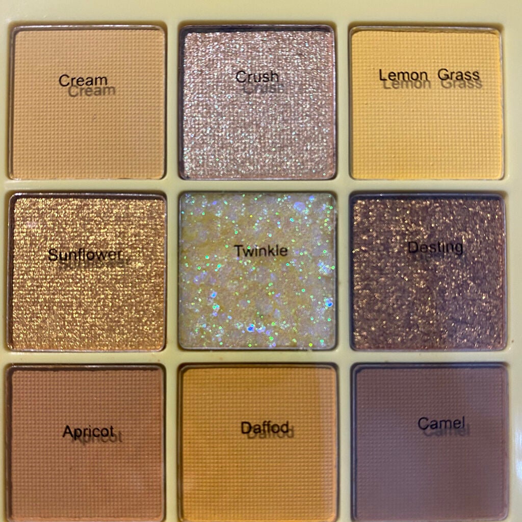 诗蒂娅九色眼影盘 (9 Colors Eye Shadow Palette)/SHEDELLA/アイシャドウパレットを使ったクチコミ(2枚目)