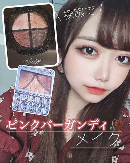 グロッシーリッチ アイズ/Visée/アイシャドウパレットを使ったクチコミ(1枚目)