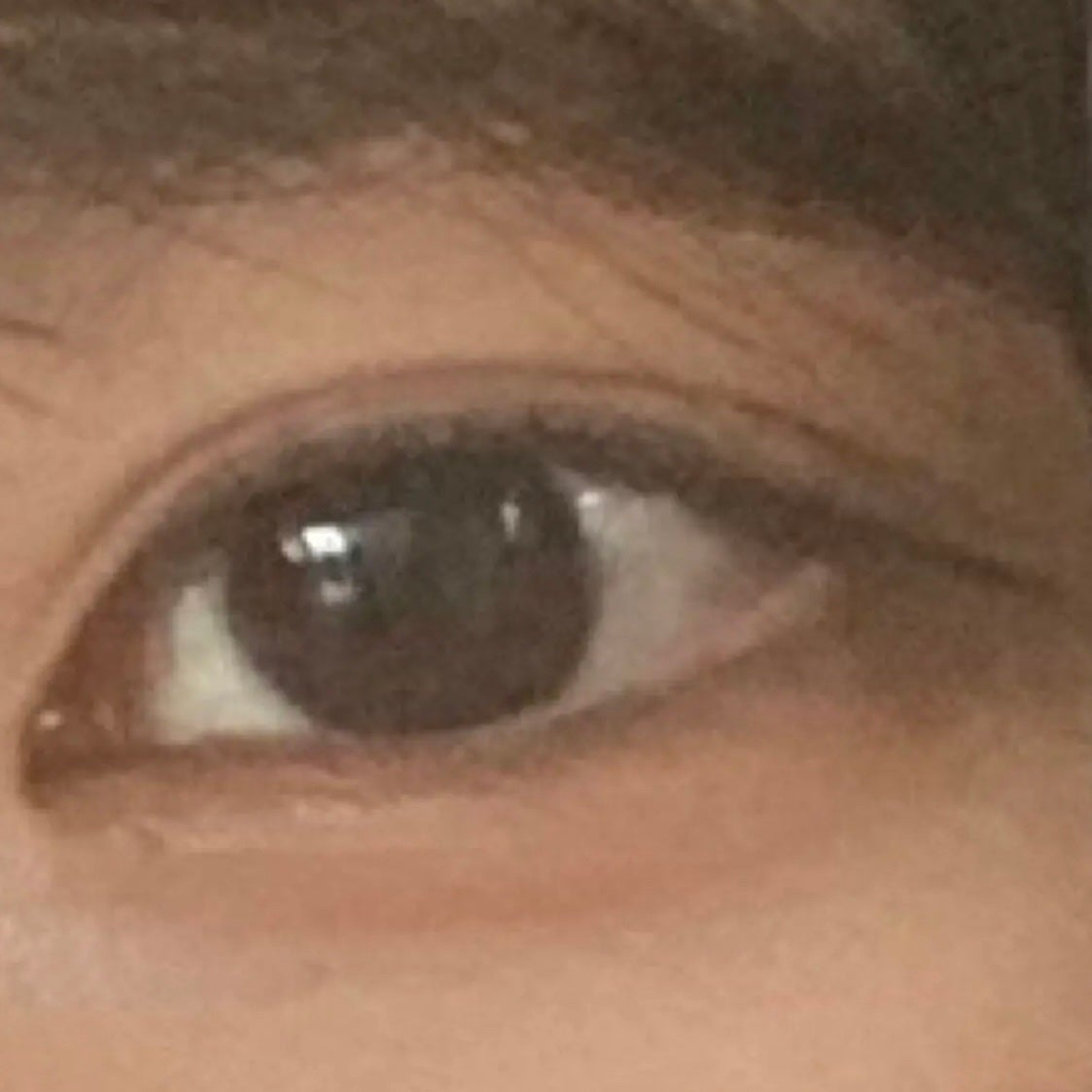 エバーカラーワンデー ナチュラル/エバーカラー/ワンデー(1DAY)カラコンを使ったクチコミ(3枚目)