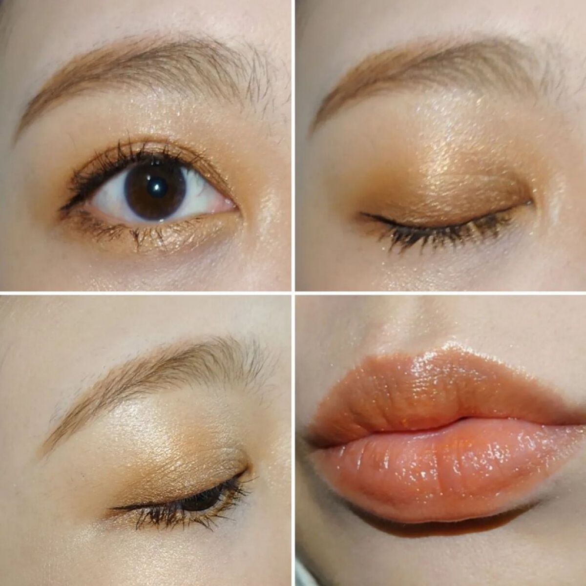 フラロッソ インテンソ アイシャドウ OR01/アスタリフト/アイシャドウパレットを使ったクチコミ（2枚目）