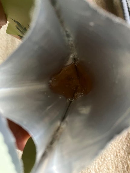 カワラヨモギ90%フレッシュマスク/BRING GREEN/シートマスク・パックを使ったクチコミ(4枚目)