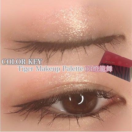 トラ十色アイシャドウパレット/COLORKEY/アイシャドウパレットを使ったクチコミ(1枚目)