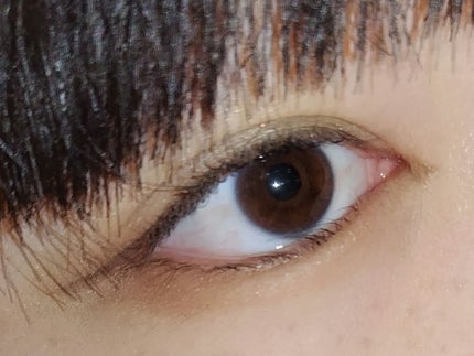 パーフェクトマルチアイズ/キャンメイク/アイシャドウパレットを使ったクチコミ(5枚目)