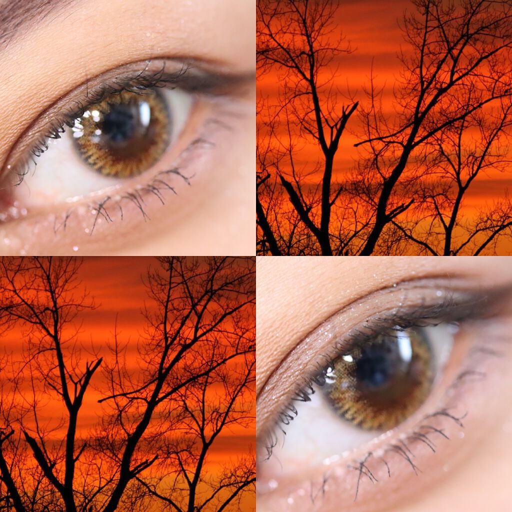 シェリーク/シェリーク/カラーコンタクトレンズを使ったクチコミ(2枚目)